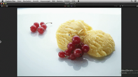  Praxistraining Fotografie: Effekte im Studio Lichtreflexe, Wassertropfen, Rauch und mehr