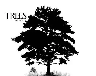 Trees Brushes