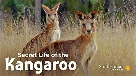 Smithsonian Ch. - Secret Life of the Kangaroo: Series 1 (2016)