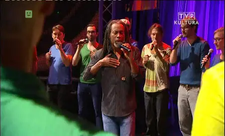 McFerrin+ - Festiwal Solidarity of Arts 2013 [SATRip]