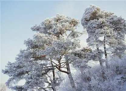 Nature Part III