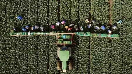 BBC - Harvest 2015 Series 1 (2015)