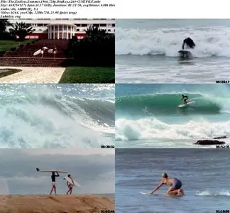 The Endless Summer (1966)