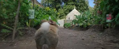 Peter Rabbit (2018)