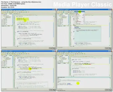 Java Fundamentals I and II LiveLesson (2011)