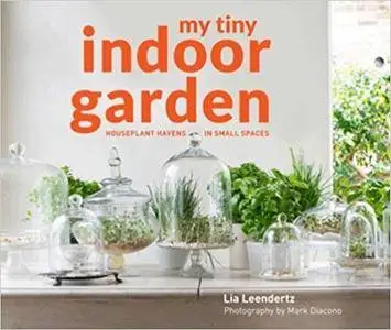 My Tiny Indoor Garden: Houseplant Heroes and Terrific Terrariums in Small Spaces