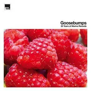 VA - Goosebumps 25 Years Of Marina Records (2018)