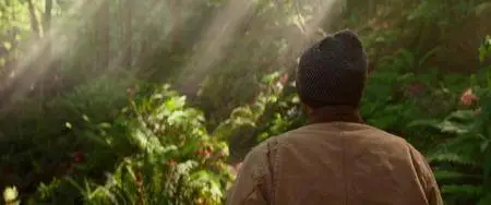 The Shack (2017)