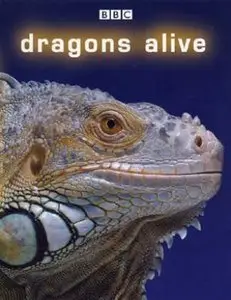 BBC – Dragons Alive