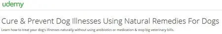 Cure & Prevent Dog Illnesses Using Natural Remedies For Dogs