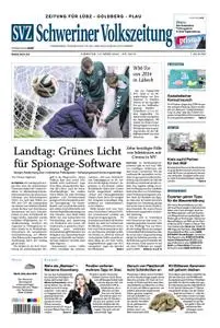 Schweriner Volkszeitung Zeitung für Lübz-Goldberg-Plau - 10. März 2020