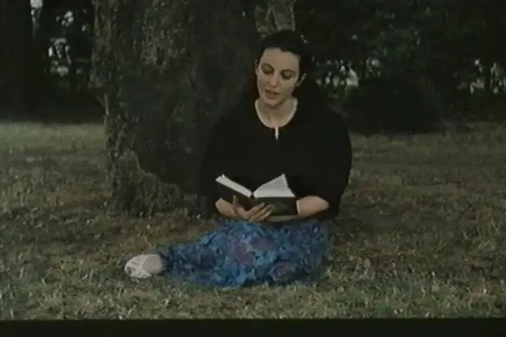 Piccoli fuochi (1985)