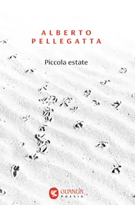 Piccola estate - Alberto Pellegatta