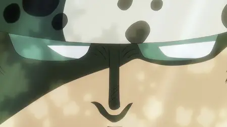 One Piece - 1135