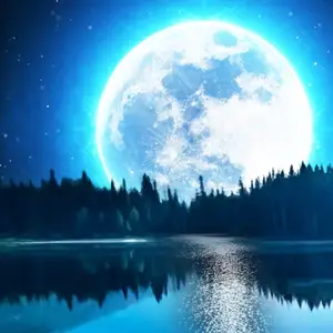 Relaxing Music  Sleep Sounds v14.2