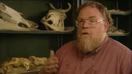 PBS Secrets of the Dead - The Lost Vikings (1999)