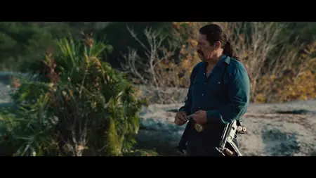Predators (2010)