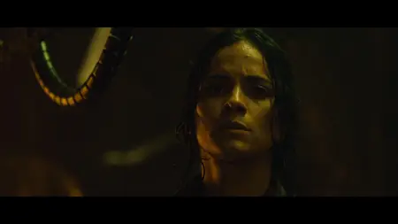 Predators (2010)