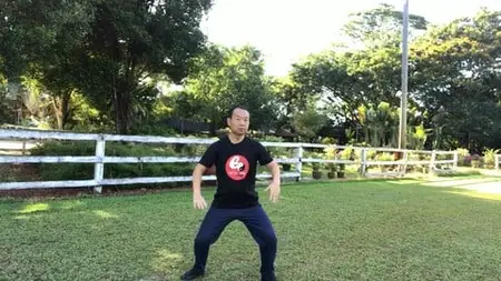 Tai Chi To Strengthen Bones, Halt Bone-Thinning Osteoporosis