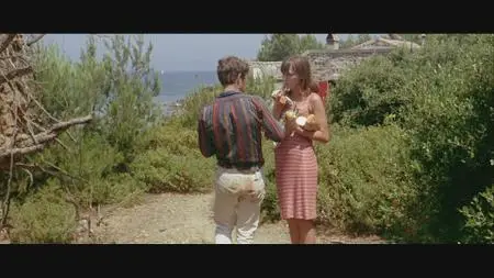 Pierrot le Fou (1965)