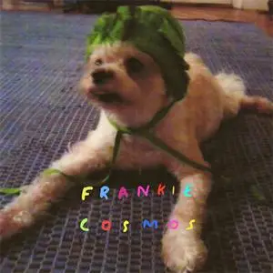 Frankie Cosmos - Zentropy (EP) (2014) {Dick Move}