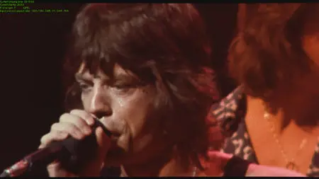 Ladies & Gentlemen: The Rolling Stones (2010) Re-up