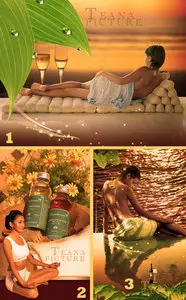 PSD templates - Spa