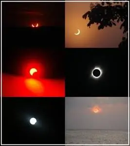 Eclipse Pictures