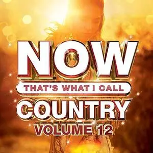 VA - Now Thats What I Call Country Vol.12 (2019)