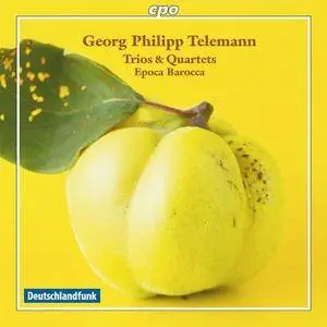 Epoca Barocca - Telemann: Trios & Quartets (2011)