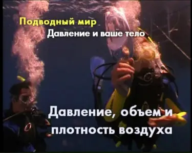 PADI - Open Water Diver Video