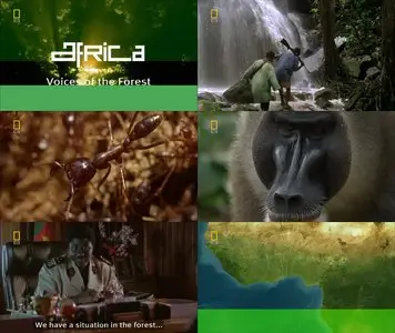 National Geographic - Africa: Voices of the Forest 