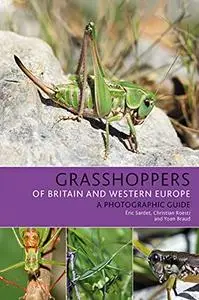 Grasshoppers of Britain and Western Europe: A Photographic Guid