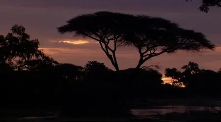 National Geographic - Eye of the Leopard (2006)