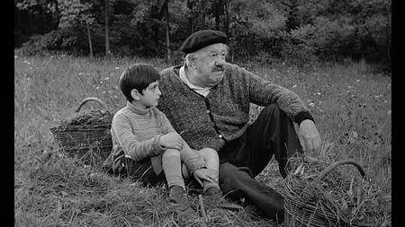 The Two of Us (1967) [The Criterion Collection #388 - OUT OF PRINT]
