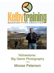 Kelby Training - Yellowstone Big Game Photography with Moose Peterson [repost]