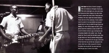 J.B. Hutto & His Hawks - Hawk Squat (1968) {2015 Delmark Expanded & Remastered Edition}