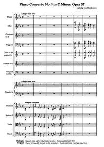 BeethovenLv - Piano Concerto No. 3 in C Minor (1st Movement: Allegro con brio)