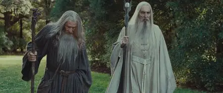 The Lord of the Rings: The Fellowship of the Ring (2001) [ReUp]