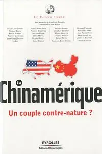 La chinamérique : Un couple contre-nature?