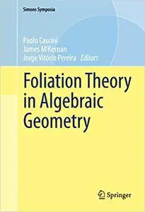 Foliation Theory in Algebraic Geometry (Repost)