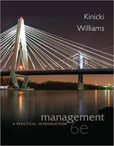 Management: A Practical Introduction ( 6th edition)