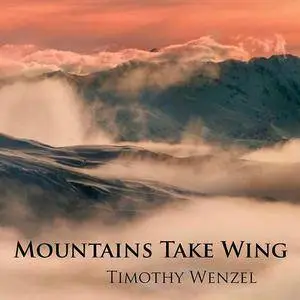 Timothy Wenzel - 2 Studio Albums (2012)