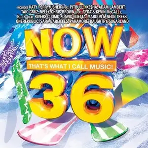 VA - Now That's What I Call Music! 36 (2010)