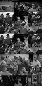 The Juggler (1953) 