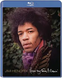 Jimi Hendrix: Hear My Train A Comin' (2013)