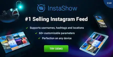 CodeCanyon - Instagram Feed v2.5.0 - WordPress Gallery for Instagram - 13004086