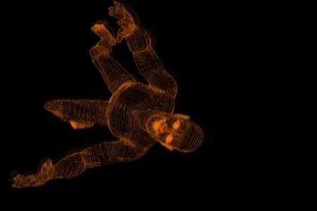 Learning to Freefly - BACKFLY