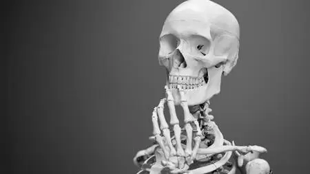 Crash Course To Anatomy And Physiology
