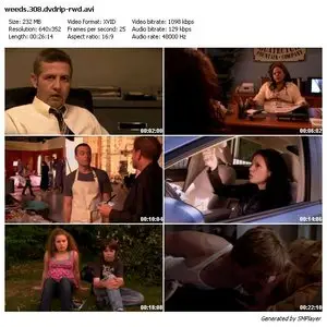 Weeds Season 3 Complete
